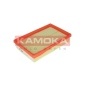 KAMOKA F224301