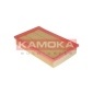KAMOKA F210301