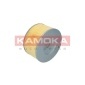 KAMOKA F215901