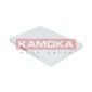 KAMOKA F413301