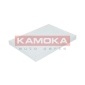 KAMOKA F413301