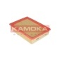 F218501 KAMOKA Фильтр