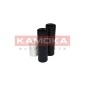 KAMOKA 2019037