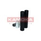 KAMOKA 2019037