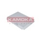 KAMOKA F401701
