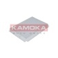 KAMOKA F401701