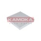 KAMOKA F401001
