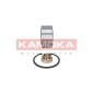 KAMOKA 5600036