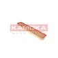 KAMOKA F220101