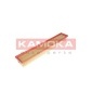 KAMOKA F220101