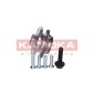 KAMOKA 5500069
