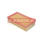 KAMOKA F208501