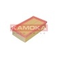 KAMOKA F208501
