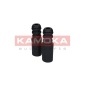 KAMOKA 2019026