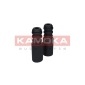 KAMOKA 2019026
