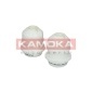 KAMOKA 2019029