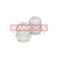 KAMOKA 2019029