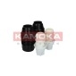 KAMOKA 2019047
