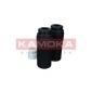 KAMOKA 2019060