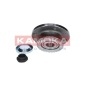 KAMOKA 5500006