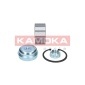 KAMOKA 5600025