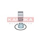KAMOKA 5600019