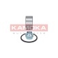 KAMOKA 5600032