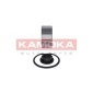 KAMOKA 5600052