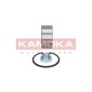 KAMOKA 5600041