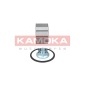 KAMOKA 5600043