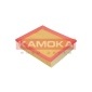 KAMOKA F200401