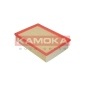 KAMOKA F203501