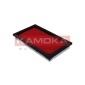 KAMOKA F205301