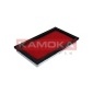 KAMOKA F205301