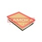 KAMOKA F205501