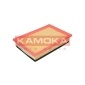 KAMOKA F205501