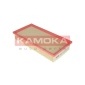 KAMOKA F208001