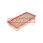 KAMOKA F208001