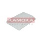 KAMOKA F211701