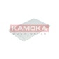 KAMOKA F211801