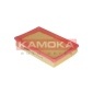 KAMOKA F213501