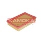KAMOKA F213501