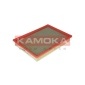 F217101 KAMOKA Фильтр