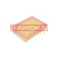 KAMOKA F218401