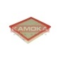 KAMOKA F217801