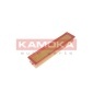 KAMOKA F221001