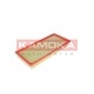 KAMOKA F219901