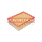 KAMOKA F221101