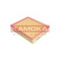 KAMOKA F221801