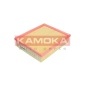 KAMOKA F221801